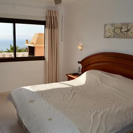 Attique Tenerife Sud 公寓 阿德耶